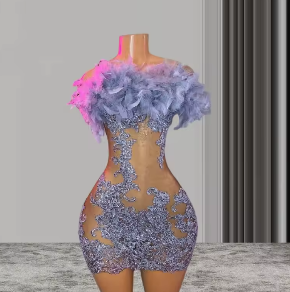 (customized Can Not Be Refund) Silver Sheer Mesh Short Prom Birthday Queen Dresses For Black Girl See Through Applique Feather Homecoming Dress